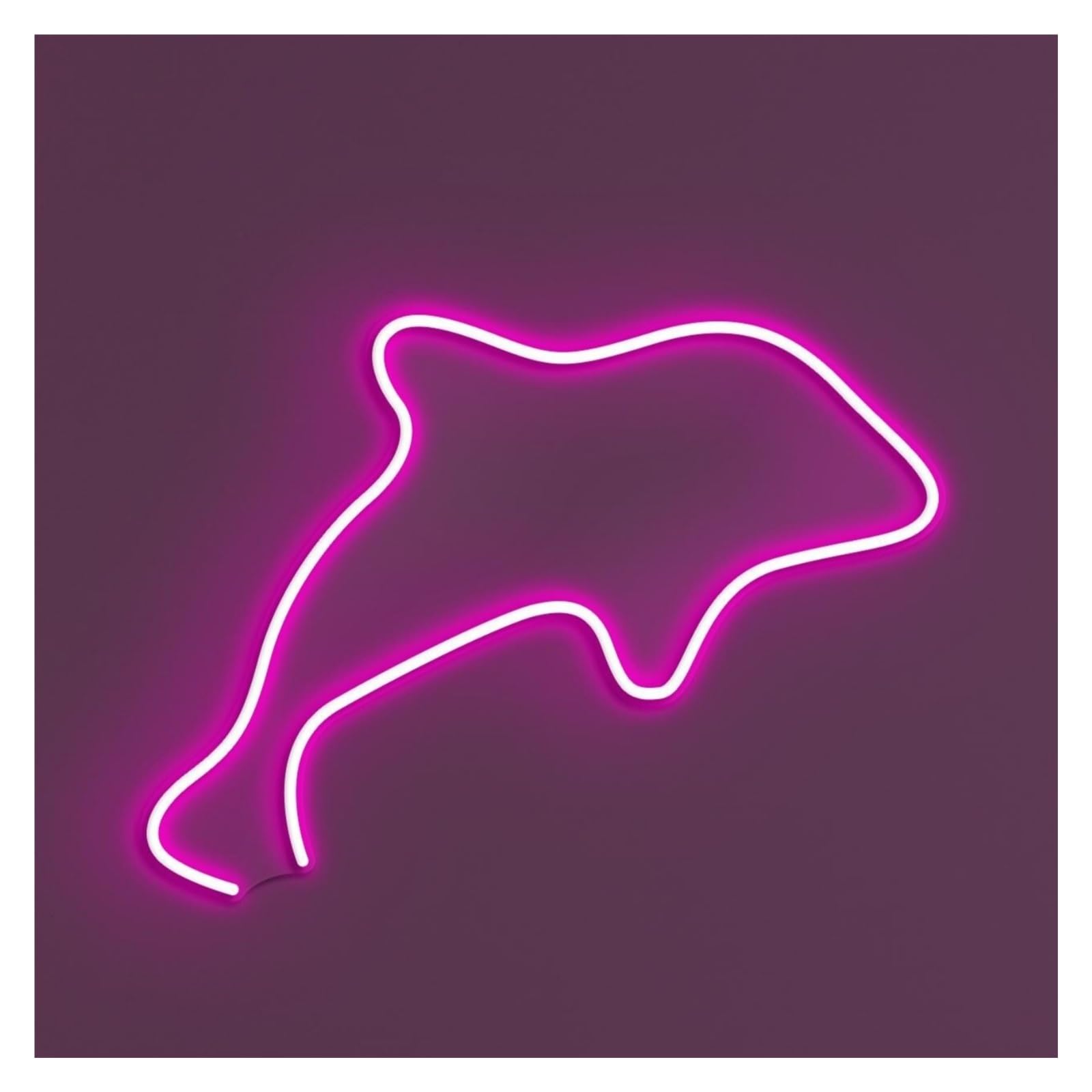 RONGCH Hanging Art Signs Dolphin Neon Sign, Suitable for Ocean Cafe Decor with Brightness Adjustable 30cm(Pink)