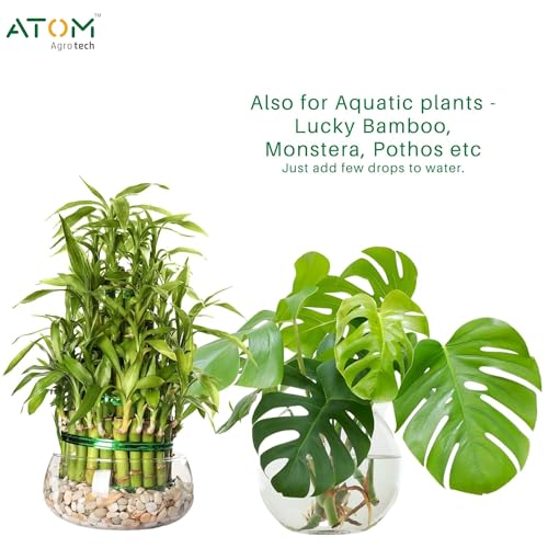 Image of Plant Power Supplement - Liquid Food for Indoor Plants Like Lucky Bamboo, Monstera, Pothos, Money Plant etc. | Effective for all Plants Each 50 ml(3 Bottles)