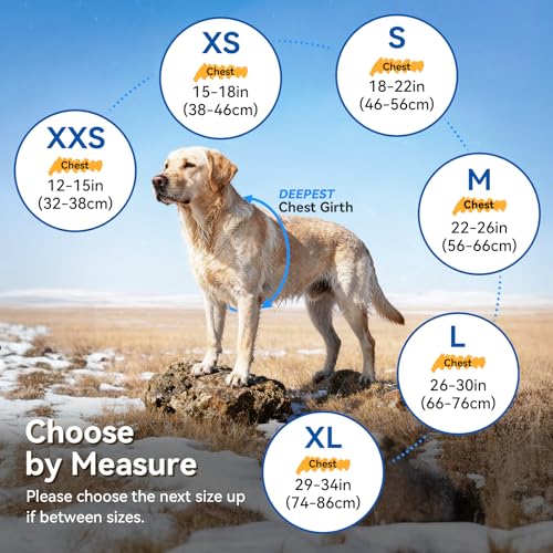 VIVAGLORY Snowrap Hundemantel, Hundejacke für Winter & Schnee, Warm Fleece Reflektierend Plüsch Softshell, Hundemantel mit Klettverschluss & Geschirr Öffnung, S, Schwarz