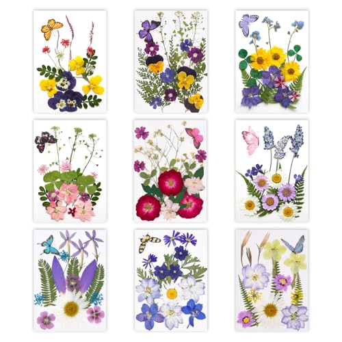 Flores secas prensadas para resina y manualidades miniatura 5