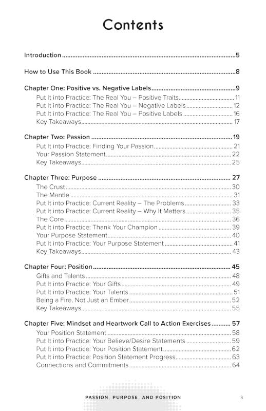 Passion, Purpose, and Position: Reignite Your Passion, Deepen Your Calling, and Lead Positive Change - Image 3