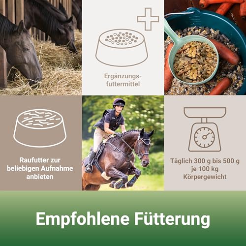 Panto Pferdefutter Sportmüsli mit Wisan-Lein 20 kg – verdauungsförderndes Kraftfutter mit Omega-3 Fettsäuren, funktionales Pferdefutter für erhöhten Energiebedarf