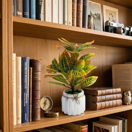 Image of Dekorly Artificial Lavender Plant in White Pot, 18cm - Realistic Faux Flower Arrangement for Home & Office Decor (Set of 1) (1, Croton Plant)