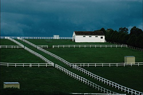 739008 Horse Stud Farm In Lilydale Victoria Australia A4 Photo Poster Print 10x8