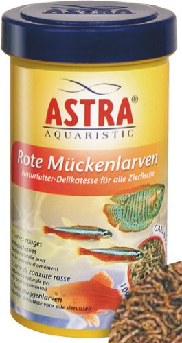 Rote Mückenlarven als Futter im Aquarium Alle Infos und Details