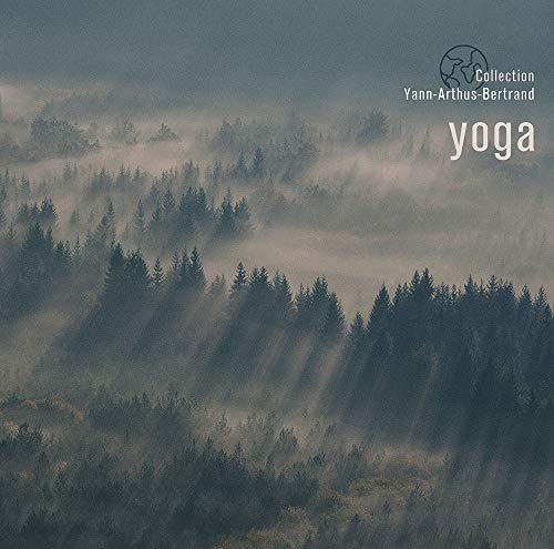 Yoga [Disco de Vinil]