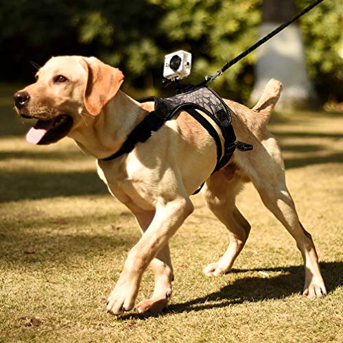 Balacoo Fetch Harness Cremalheira Câmera- Câmera Arnês Do Cão Prático Stylish Dog Fetch Harness Band
