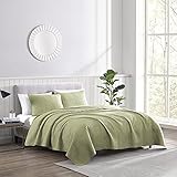 Brielle Stream Quilt and Sham Set, Twin, Sage