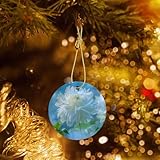 Taille : chaque décoration de vacances mesure environ 7,3 x 7,3 cm, épaisseur d'environ 0,3 cm, légère et magnifiquement formée, comprend 1 cordon doré, convient pour accrocher sur les arbres de Noël, les portes, les fenêtres, les murs et partout où vous le souhaitez