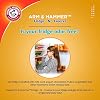 Arm & Hammer Fridge-N- Freezer No Scent 14 oz. Cleaning Powder