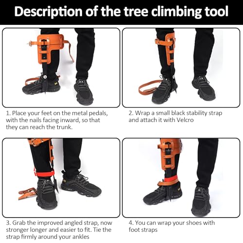 Image of Tree Climbing Gear, Tree Climbing Spikes, Tree Climbing Gear with Adjustable Climbing Straps and Steel Core Flip Line, Rock Climbing Kit with Triple Lock Lanyard Adjuster