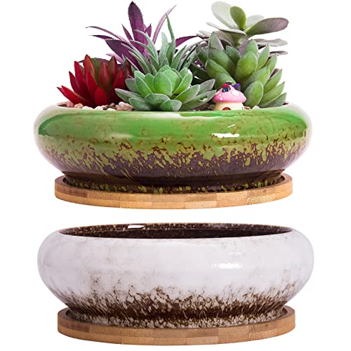 Macetas, macetas Grandes para Plantas suculentas con Drenaje Pack de 2, macetas Poco Profundas para bonsáis con bandejas Macetas de cerámica para Plantas de Interior Cactus