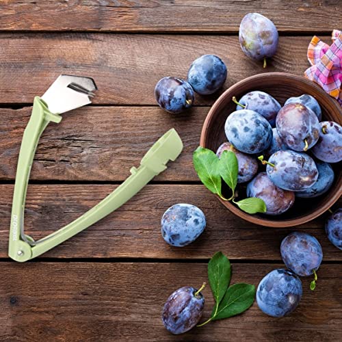 Foto von Dr. Oetker Pflaumenentkerner 15 cm, entkernt Pflaumen kuchen- und einmachgerecht im Handumdrehen, Klinge aus Metall, mit Haltegummi zum platzsparendem Verstauen, (Farbe: grün), Menge: 1 Stück