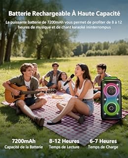 GKD61 Machine de Karaoké pour Adultes avec 2 Microphones UHF Sans Fil, 400W Puissance Crête, Enceinte Bluetooth Portable avec Deux Subwoofers de 6,5", Réglage Basses/Aigus, pour Intérieur et Extérieur