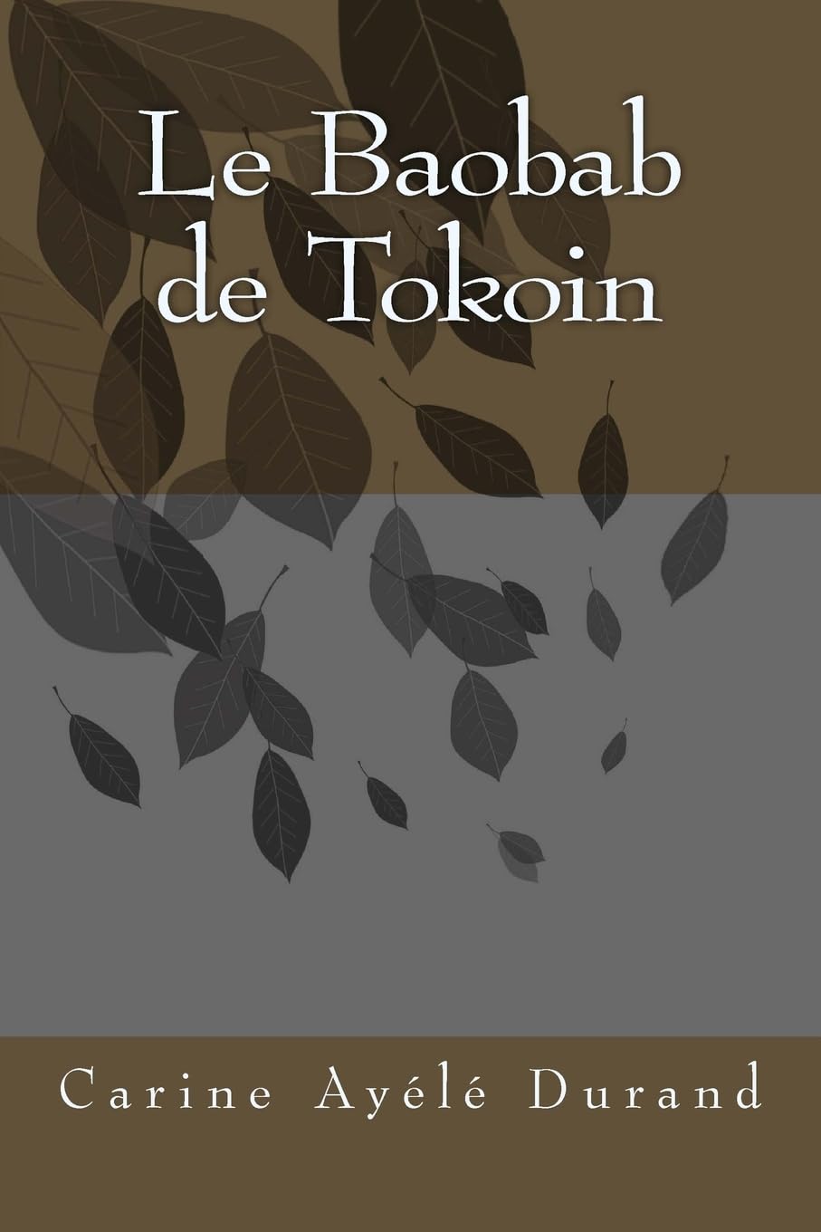 Le Baobab de Tokoin (French Edition)