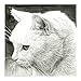 Sakura Pigma Micron 05 Black 0.45mm Line Width 1pcs