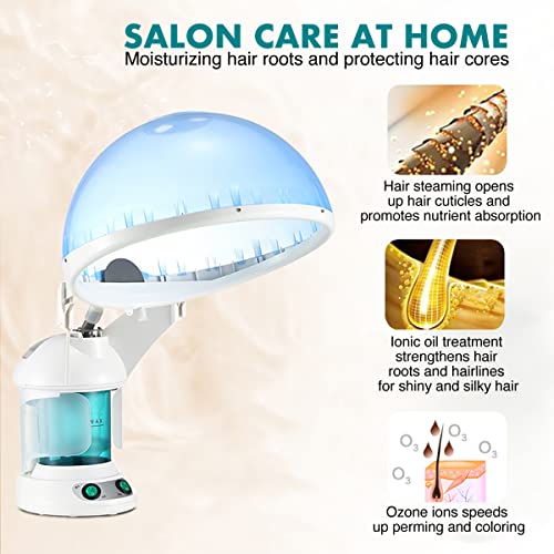 image for DENFANY Hair Steamer, 2 in 1 Hair and Face Steamer for Natural Hair wi