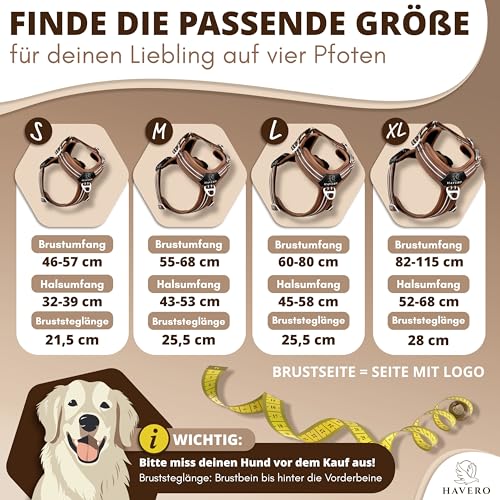 HAVERO Hundegeschirr Easy-On-Clip – [Kein Überkopfziehen] | Anti-Zug Y-Geschirr Gepolstert Reflektierend Atmungsaktiv Brustgeschirr – kleine, mittelgroße & Grosse Hunde Geschirr (Braun, M)