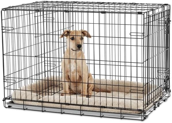 EveryYay by Petco 1-Door Dog Crate Large 36" L X 22.5" W X 24.9" H Black: No Handles