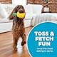 Outward Hound Planet Dog Dental Ananas Dental Chew Toy and Interactive Treat Stuffer Durable Dog Toy Stuffable Dog Toy, Yellow