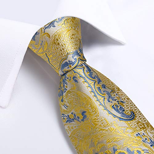 Image of DiBanGu Silk Ties for Men Necktie and Lapel Pin Brooch Set Formal Woven Paisley Plaid Striped Solid Tie Wedding Party