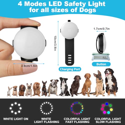 AUAUY Sicherheits LED Blinklicht, 4 Modis Hundelicht IPX68 Wasserdicht Haustier Lichter, USB Wiederaufladbar Hunde Katzen Leuchtanhänger, Einstellbar LED Licht für Nachtspaziergänge Laufen Camping