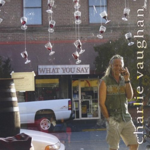 What You Say Charlie Vaughan Digital Music