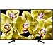 Sony X800G 49 Inch TV: 4K Ultra HD Smart LED TV with HDR and Alexa Compatibility - 2019 Model, 49-Inch