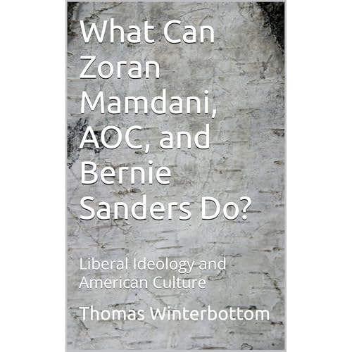 What Can Zoran Mamdani, AOC, and Bernie Sanders Do? Audiolibro Por Thomas Winterbottom arte de portada