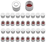Dzsomt Tapones Valvula Coche 38 Piezas Tapones Rueda Coche Tapones Coche con Anillo de Sellado Tapones Moto Tapas para Llantas Tapon Valvula Coche de Aire Guardapolvo