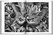Sebastião Salgado: Workers; an Archaeology of the Industrial Age