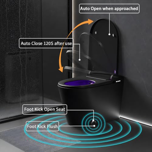 Image of TOTTE Smart Toilet with Bidet Built-in, 1000g MaP Flush, 1.28 GPF, Heated Seat, Instant Warm Water, Warm Air Dryer, Comfort Height One-Piece Toilet, 353 LB Max Load, Auto Open /Close Lid, Black