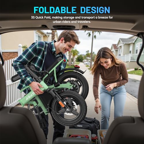 Folding Electric Bike 14