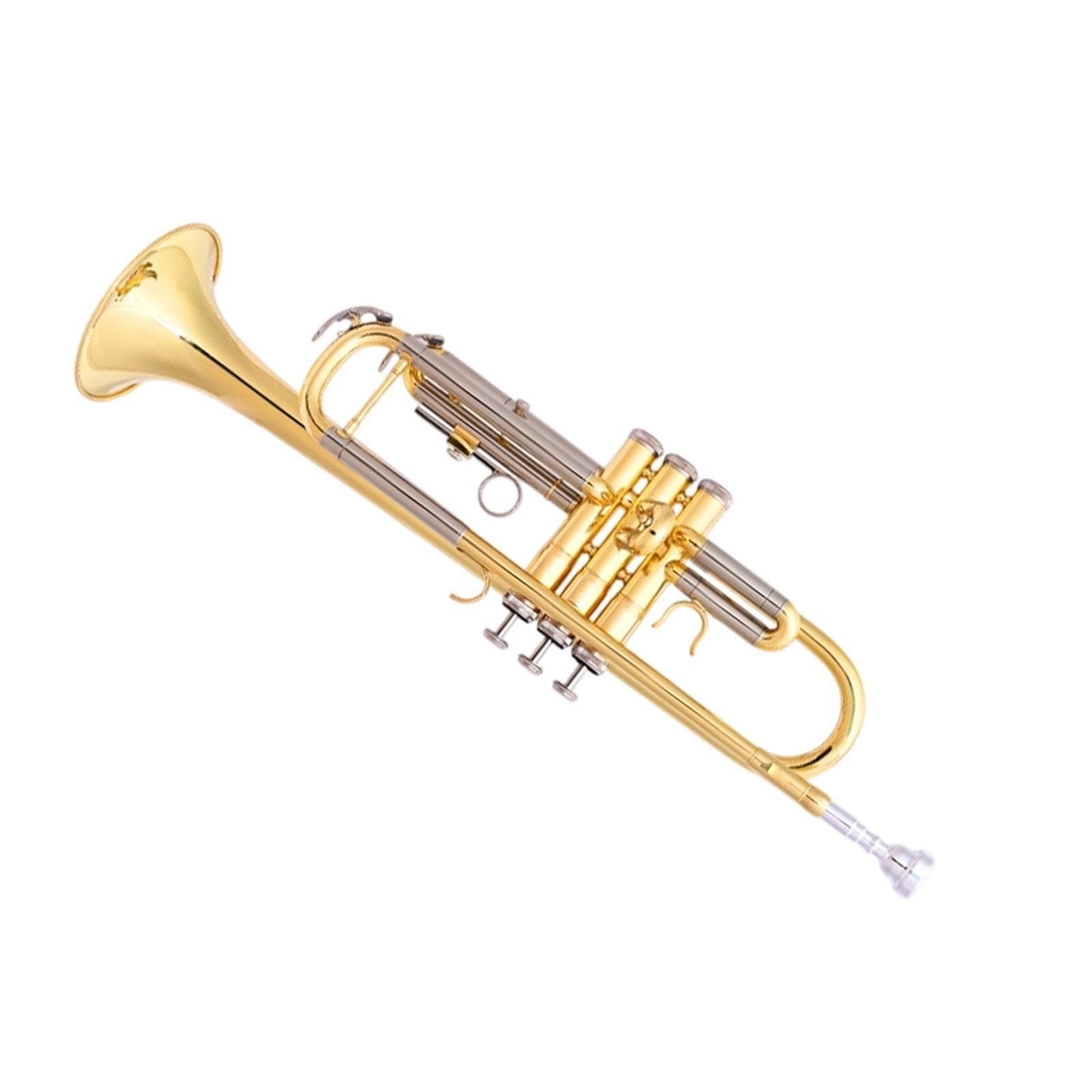 Professional Trumpet Trompeta en Sib para principiantes