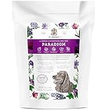Dr. Harvey's Paradigm Green Superfood Dog Food, Human Grade Dehydrated Grain Free Base Mix for Dogs, Diabetic Low Carb Ketogenic Diet (3 Pounds)