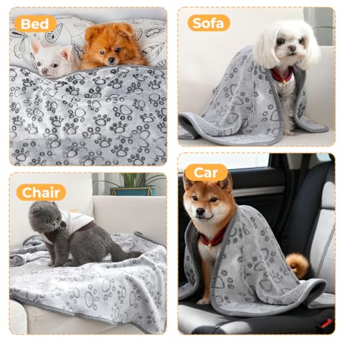 3er-Pack Hundedecken 52x76cm, Haustierdecke für Kleine Mittlere Hunde Katzen, Grau Fleecedecke für Hunde, Weich und Langlebig, Katzendecke Dünn, Pet Warm Blanket Set Ideal für Sofas & Betten