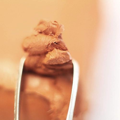 Miniatura 6 de Mont Marte Arcilla de modelado de endurecimiento al aire de color terracota 500 g (1.1 lb). Arcilla seca al aire de color terracota con tiempo de