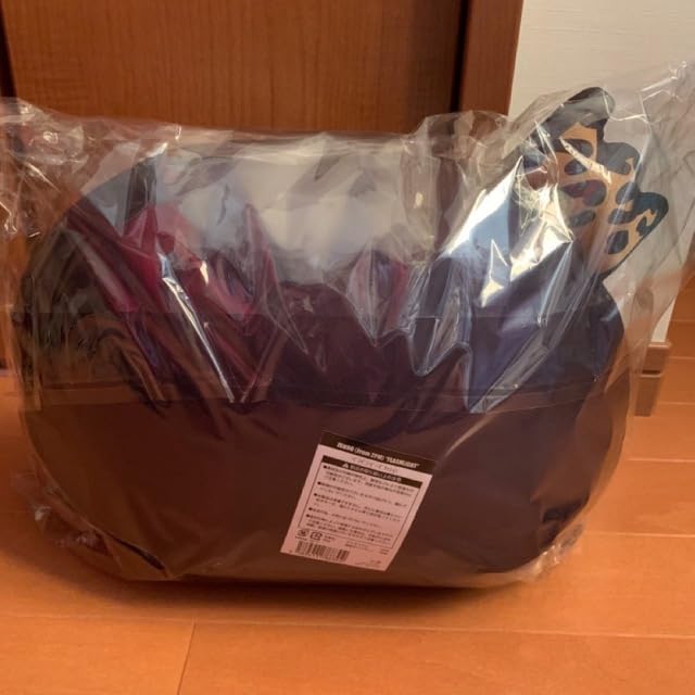 Amazon.co.jp: 2PM ジュノ ペンペンビーズクッション : 文房具