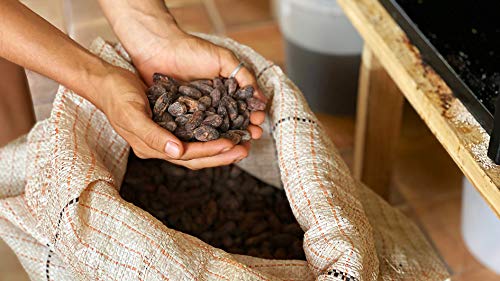 The scrumptious art of bean-to-bar chocolate making in Costa Rica