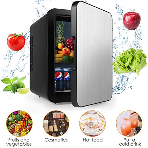Mini Fridge with Cooler and Warmer, 4 Liter Large Capacity Portable