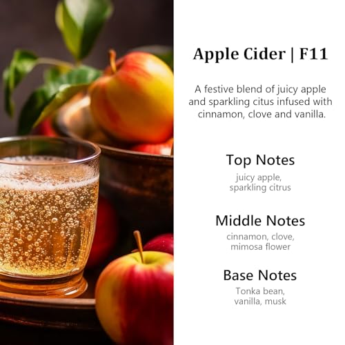 Image of HoogaLife Car Air Freshener Diffuser 2 Pack Hanging Air Freshener Diffuser - Apple Cider Fragrance Oil Air D iffuser for Car, 45+ days Long Lasting Fragrance Made in USA (F11)