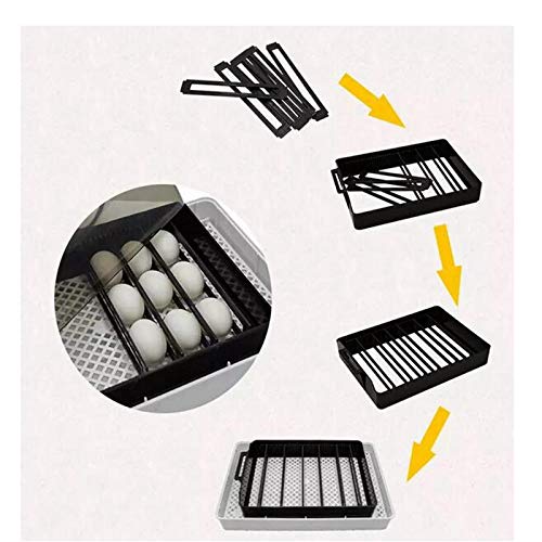 Incubatrice,Incubatrice Automatica Display Digitale Piccolo Ventilatore Incorporato Temperatura Regolabile Incubatrice Uova per 12 Uovoa, 9 Uova di Anatra, Quaglia