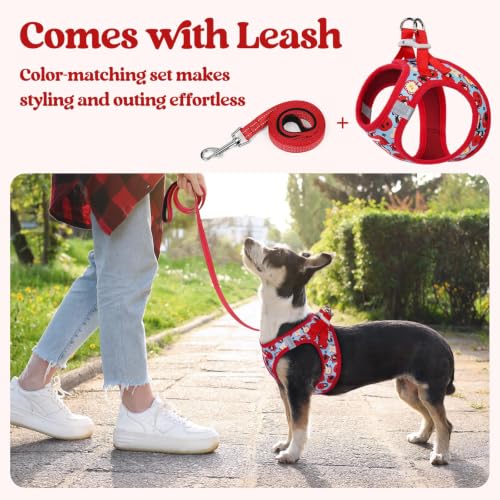 Image of rabbitgoo Dog Harness Medium Sized and Leash Set, Step-in Puppy Pet Vest