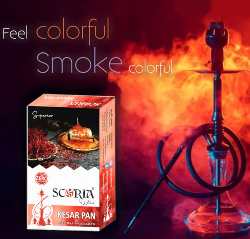 Image of SCORIA Superior Hookah Double Apple, Brain Freezer, Dubai Special, Kesar Pan, Pan Kiwi MInt, Chocolate Flavour & 3 Box Filter (Pack Of 9)