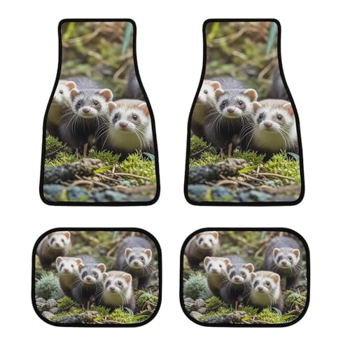 Tapis de sol voiture furet : lot de 4 protections universelles auto, SUV et camion