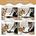 Vivifying Dog Nail Scratch Board with Treat Drawer, Stress-Free Nail Filing Tool for Dogs, Alternative to Clippers for Front Paw Nails, Interactive Training Scratch Pad with Extra Sandpaper