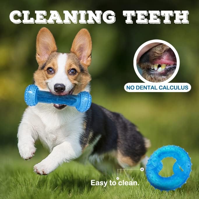 SPOFLY Puppy Chew Toys for Teething Puppies Cooling Dog Toys Natural Teething Rubber, 2 Pack Freezable Teething Toys - Image 3