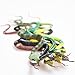 Rhode Island Novelty 14 Inch Rain Forest Snakes, One Dozen Assorted