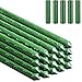 Produktbild Gartenpflanzenpfähle Pflanzenstäbe Garten Pflanzenstützen Stäbe Pflanzhilfe Rankstäbe 20 Stück Grüne Pflanzstab mit 5 Stück Pflanzstabverbinder (41CM)