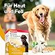 BEAPHAR - ’Bonbons’ Mit Knoblauch - Für Hunde - Mit Schafsfett, Knoblauch - Unterstützt Gesundes Fell, Verdauung - 40 Bonbons - 245 g
